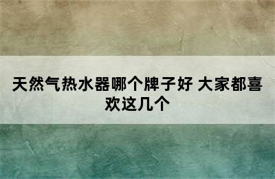 天然气热水器哪个牌子好 大家都喜欢这几个